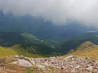 suggestiva immagine della montagna estiva immersa nella nebbia