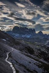 landscape forest in trentino with dolomiti mountain