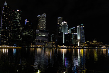 Fototapeta na wymiar Singapore Night garden