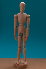 Wooden mannequin body.