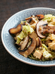 Bowl with a home made mushroom savoy cabbage risotto with tofu.