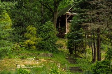 Forest garden with shack in mountains