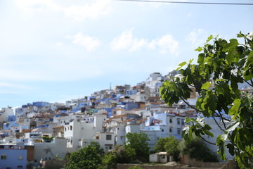 A magnificent view of Chefchaouen town in northern Morocco.