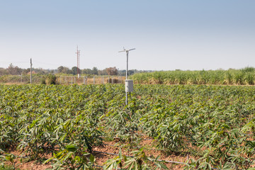 agriculture and Internet of things , smart farmer