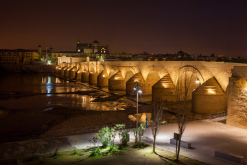 Puente Romano in Cordoba at Night