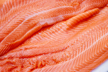 salmon fish with fresh