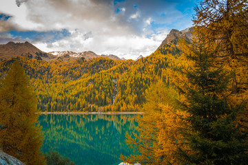 Lago di Gioveretto (Zufrittsee) during autumn, Martello Valley, Venosta Valley, province of...