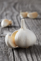 Garlic close-up
