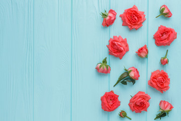Rose flower heads sprinkled on blue wooden table. Top view, flat lay. Copyspace.