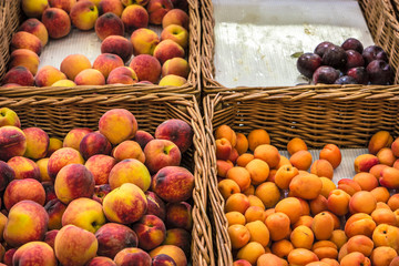 Peaches, plums and apricots in market packs