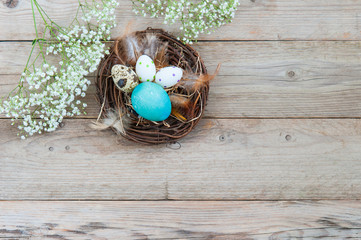 Adorable birds nest with different bright Easter eggs, feathers and flowers. Place for text
