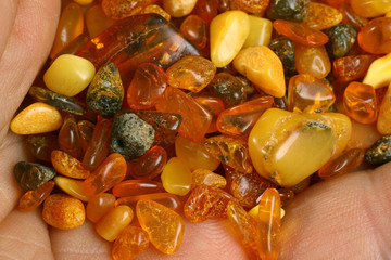 Baltic amber stones on palm