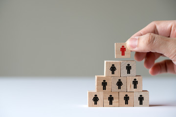 Human resource management concept by hand putting wood cube block leader on top pyramid.