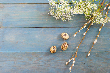 Blue wooden background and quail Easter eggs with flowers. Place for text. Flat lay