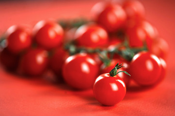 A branch of cherry tomato on a red background. Tomatoes occupy the entire frame space. Close-up. Macro shooting.