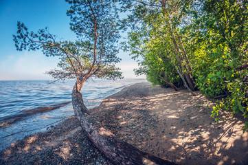 morning on the shore of a beautiful lake, landscape