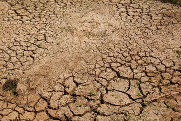 Close up of dry cracked earth during a severe drought.