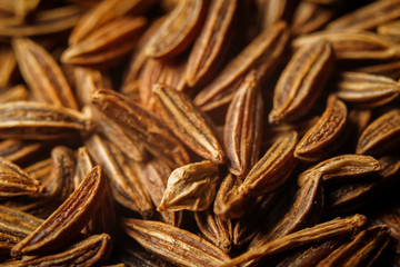 Dry cumin seeds or caraway. Extreme macro photography.