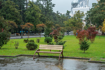 Fototapeta na wymiar seaside park track in the rain after the end of the tourist season