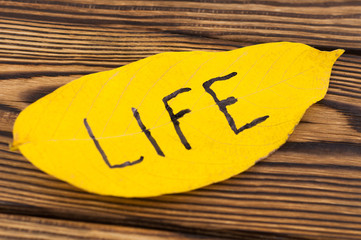 Handwritten inscription of black color LIFE on yellow falling autumn leaf on old rustic brown board