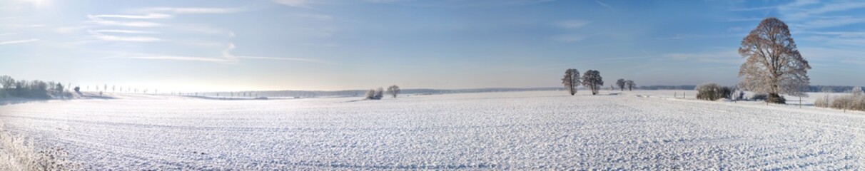 Großes Schneefeld