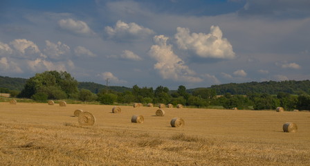 Bliesgau Saarland  Heuernte 