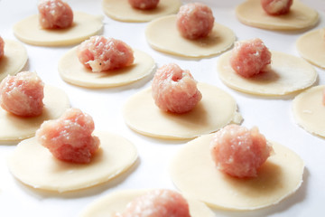 Dough made for modeling homemade ravioli, pelmeni or dumplings . Traditional Russian dish, national cuisine. Home cooking, handmade.
