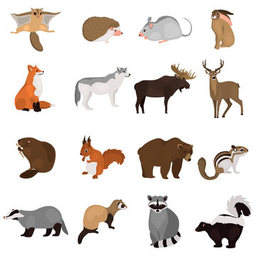 animal flat color icon set
