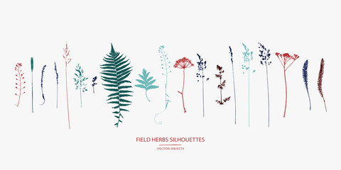 Vector silhouettes collection. Set of field flowers, herbs.