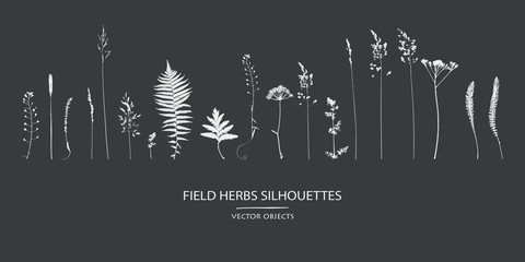 Vector silhouettes collection. Set of field flowers, herbs. - obrazy, fototapety, plakaty