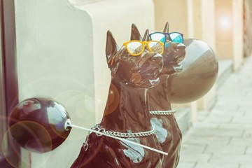 Dogs mannequins. Funny black dogs in blue and yellow glasses and sun glare