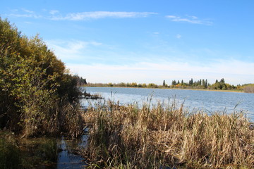 Autumn At The Wetlands, Elk Island National Park, Alberta