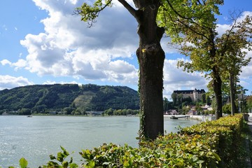 Donau Fluss in grein in österreich - 243160041