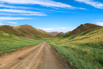 Fototapeta na wymiar Dirt road towards the centre of Yol Valley in Gobi Desert on a beautiful summer day with blue cloudy sky (Gobi Desert, Mongolia, Asia)