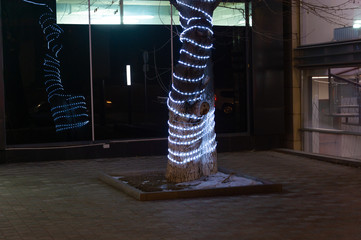 illuminated tree bark with LED lights attached to the trunk