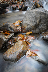 fall scenery in forest with flowing river waterfall in long exposure in selective colors