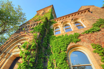 Toronto University Campus