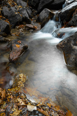 fall scenery in forest with flowing river in long exposure in selective color 