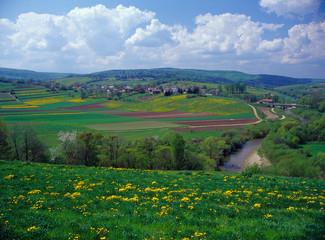 Wiar River, Pogorze Przemyskie, Poland