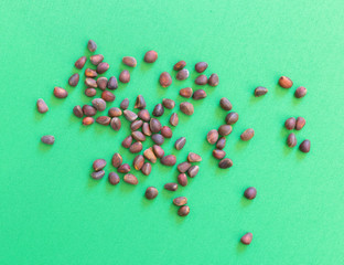 Pine nuts on a green background