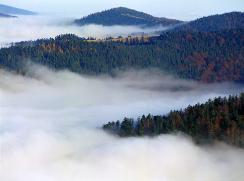 Gorczanski National Park in the clouds, Gorce mountains, Poland