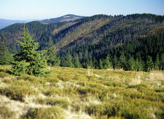 Gorczanski National Park, Gorce mountains, Poland
