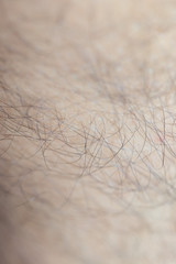 detail of human skin with hair, close-up