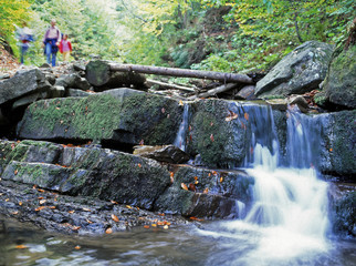 Biala Wiselka (source of Wisla river) near Wisla resort bellow Barania Gora hill, Beskid Slaski...