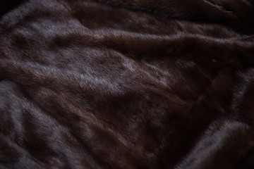 Natural mink fur brown. Texture, background. Natural brown mink coat close up, short nap