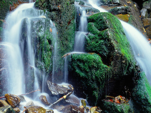 Biala Wiselka (source of Wisla river) near Wisla resort bellow Barania Gora hill, Beskid Slaski mountains. Poland