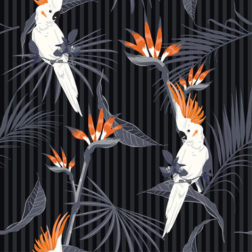 Black and grey stripes with monotone tropical forest with white parrot  birds seamless pattern vector for fashion,fabric and all prints