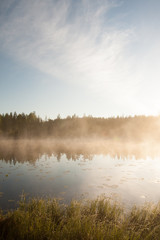 Fototapeta na wymiar Forest lake landscape summer sunrise in Finland
