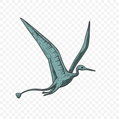 Pteranodon Dinosaur vector. © trihubova
