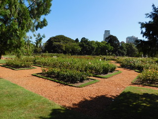path in the garden